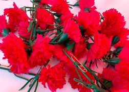 Tag Der Arbeit In Jena Hunderte Bei Kundgebung Und Demo 12